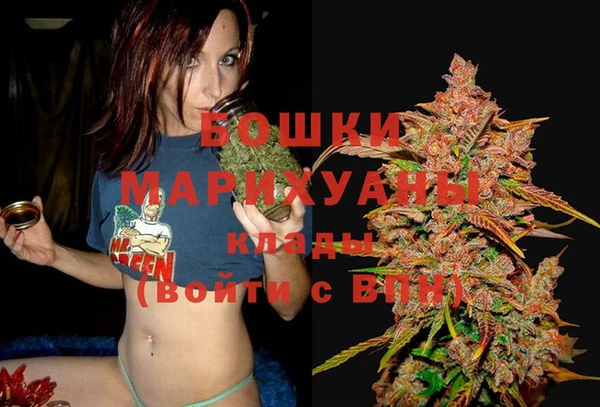 альфа пвп Новодвинск