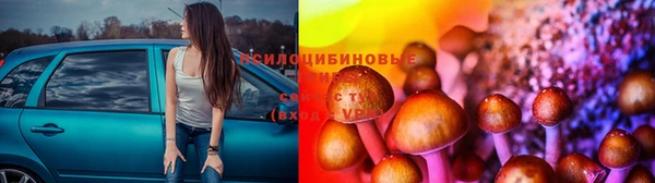 мяу мяу мука Новозыбков