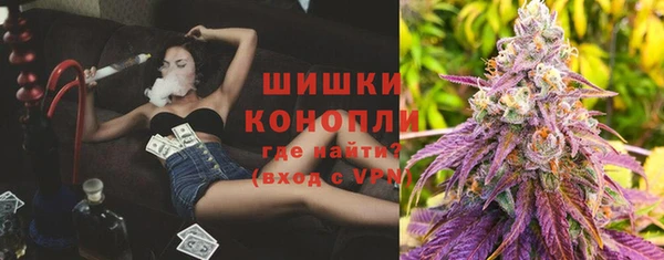 альфа пвп Новодвинск